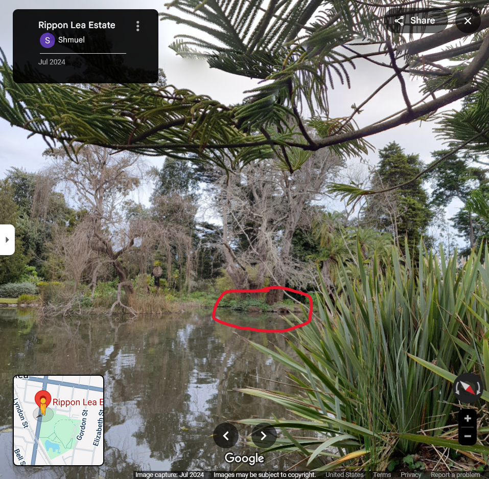 A Google Maps image of the lake at Rippon Lea Estate taken in July 2024. The circle denotes where Mr. Darcy should be.